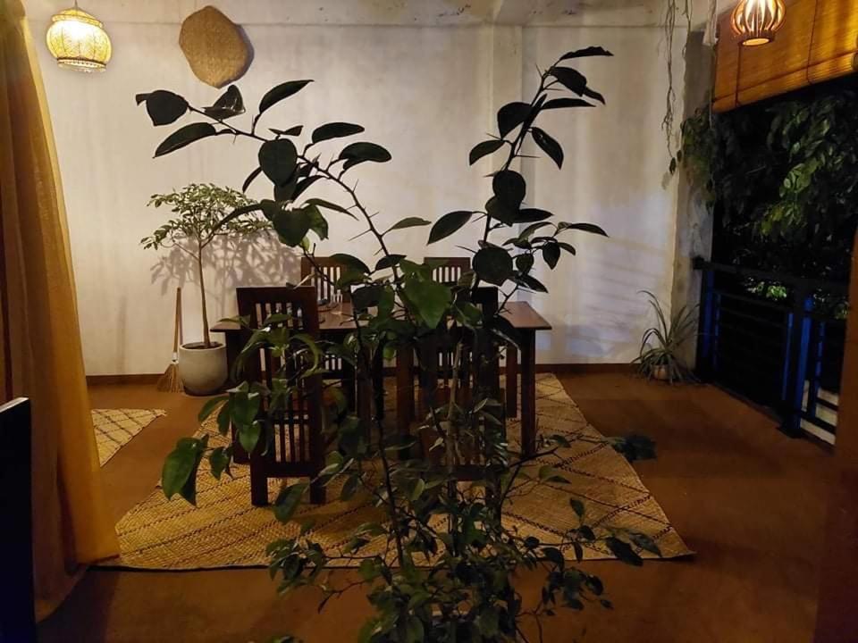 Kingcity Resort Anuradhapura Bagian luar foto